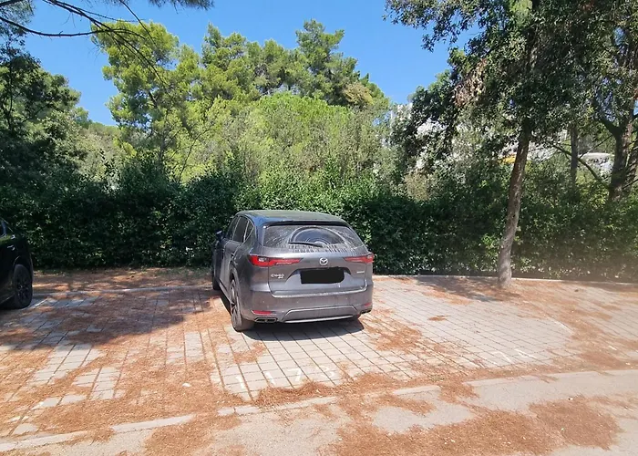 With Parking Space Biograd Na Moru, Biograd - 24065 Apartman *