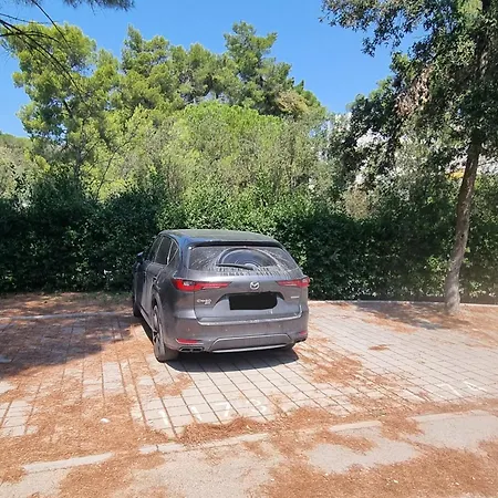 With Parking Space Biograd Na Moru, Biograd - 24065 Apartmán *